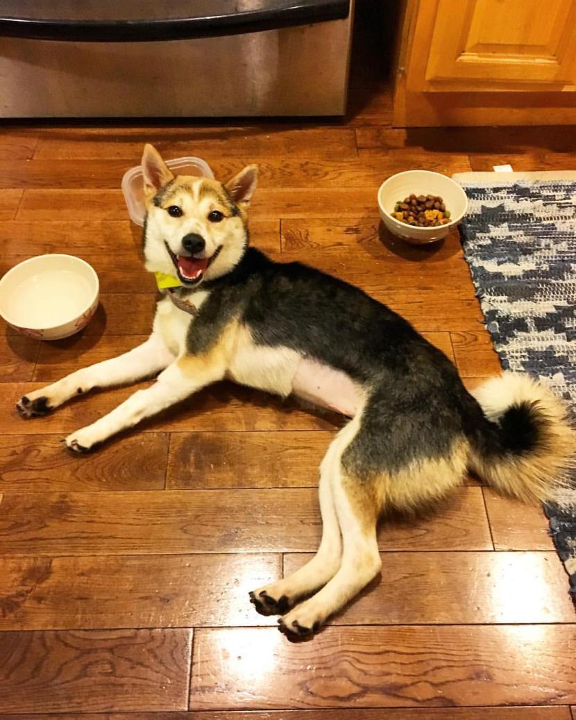 13767393_10100900154240510_7155484912669588985_o